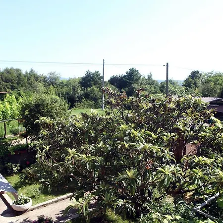 Pure Nature Coastal Vlasta Apartment *